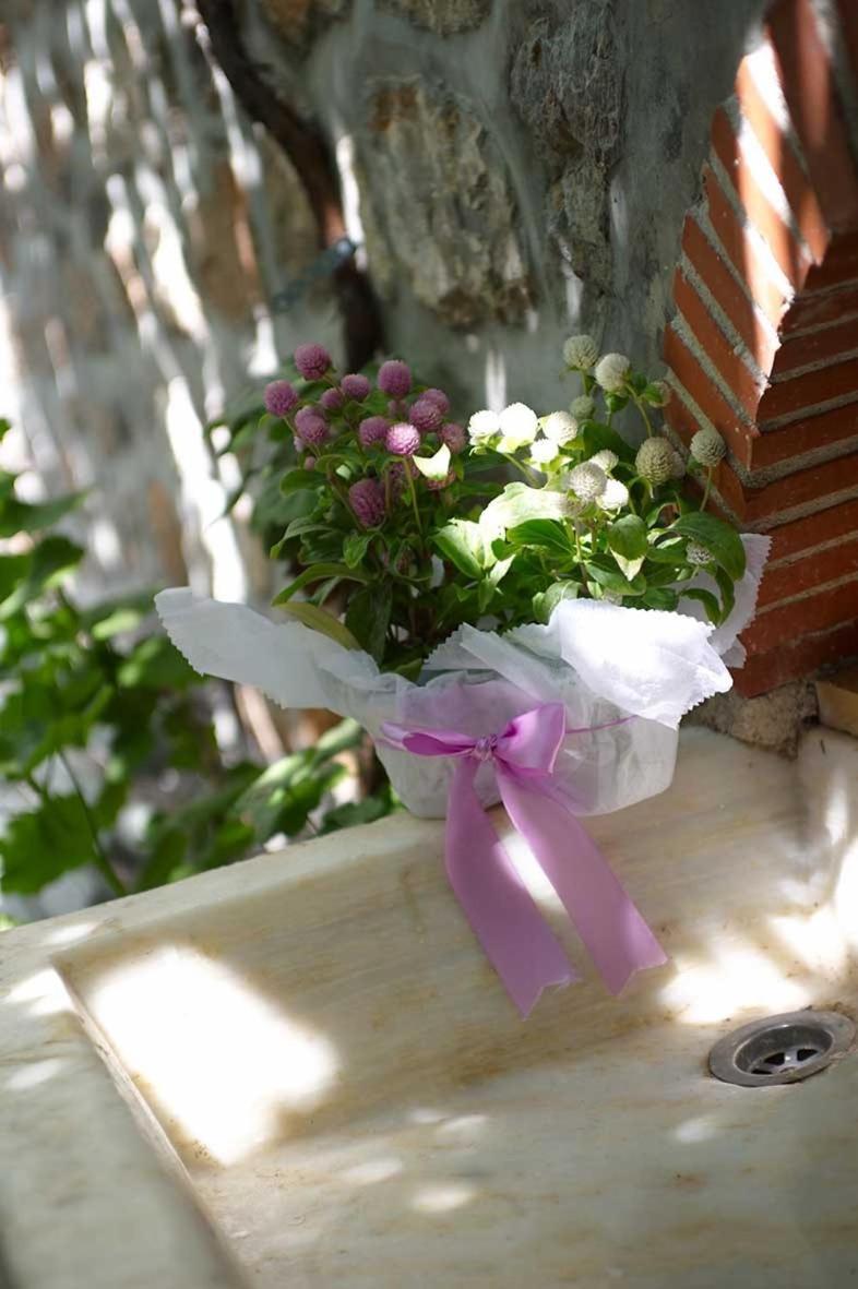 Pension Erofili ไฮดรา ภายนอก รูปภาพ